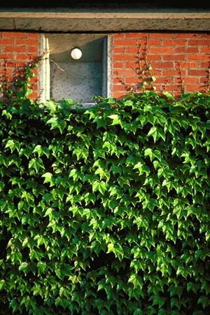 千葉で自然素材を生かした工務店をお探しならば