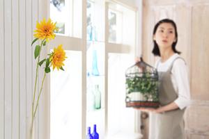 富山で、確かな技術で信頼できる造園業者