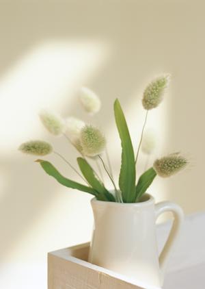 新潟市で中古住宅を購入するなら